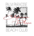 Stylish trendy slogan t-shirt graphics print illustration palm paradise beach club Royalty Free Stock Photo