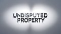 Stylish typographic display featuring the words Undisputed Property on a plain backdrop Royalty Free Stock Photo