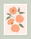 Stylish vector cover design with peach fruits.