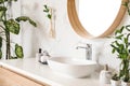 Stylish vessel sink and plants in bathroom. Interior design element Royalty Free Stock Photo