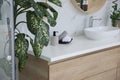 Stylish vessel sink and houseplants in bathroom. Interior design elements Royalty Free Stock Photo