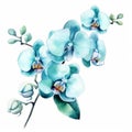 Stylish Watercolor Blue Orchid Arrangement Clipart With Aqua Blue Hues