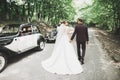 Stylish wedding couple, bride, groom kissing and hugging on retro car Royalty Free Stock Photo