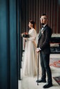 Stylish wedding couple in the interior. Glamorous bride and groom