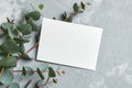 Stylish wedding invitation card mockup with eucalyptus twigs on grey stony background