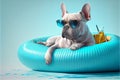 A stylish white French bulldog in blue sunglasses swims in a blue inflatable circle