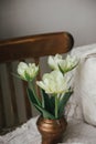 Stylish white tulips in vintage vase on old wooden chair with linen cloth. Countryside rustic still life. Moody Spring flowers Royalty Free Stock Photo