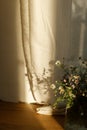 Stylish wildflowers bouquet in evening sunlight against window in rustic room. Beautiful summer flowers in vase gathered from Royalty Free Stock Photo