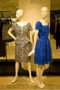 Stylish woman clothing on mannequins at store Royalty Free Stock Photo
