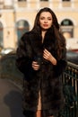 Stylish woman in fur coat