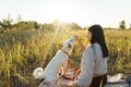 Stylish woman giving treats to her white dog on blanket in warm sunny light in summer meadow. Picnic