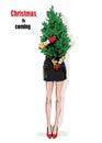 Stylish woman holding New Year tree. Female legs in red shoes. Winter look. Royalty Free Stock Photo