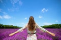 Stylish woman in lavender field in Provence, France rejoicing Royalty Free Stock Photo