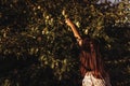 Stylish woman picking up apples from tree in sunlight in summer Royalty Free Stock Photo