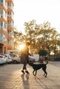 Stylish woman playing with dog on sunset background. Lady in fancy dress and hat walking with puppy on the street in the evening Royalty Free Stock Photo