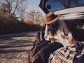 Stylish woman sitting with dog in car trunk on background of autumn trees. Road trip with pet Royalty Free Stock Photo