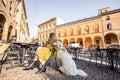 Woman sitting with her white dog at outdoor cafe in the old town of Bologna city Royalty Free Stock Photo