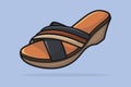 Stylish Women Feet Wearing Slipper vector illustration. Beauty fashion objects icon concept. Female colorful unique style slipper