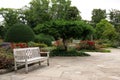 Stylish wooden bench in beautiful garden on sunny day Royalty Free Stock Photo