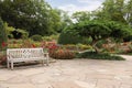 Stylish wooden bench in beautiful garden on sunny day Royalty Free Stock Photo