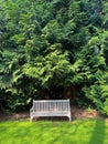 Stylish wooden bench in garden on sunny day Royalty Free Stock Photo