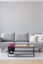 Stylish wooden coffee table with magazines and heather next to grey couch with white pillows