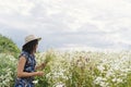 Stylish young woman in blue vintage dress and hat gathering white wildflowers in summer meadow. Tranquil summer in countryside.