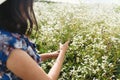 Stylish young woman in blue vintage dress and hat gathering white wildflowers in summer meadow. Tranquil summer in countryside.