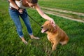 Stylish young woman and her pet dog golden retriever. Royalty Free Stock Photo