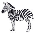 Stylish Zebra