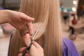 Stylist cutting hair of client in professional salon, closeup Royalty Free Stock Photo