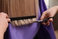 Stylist cutting hair of client in professional salon, closeup Royalty Free Stock Photo