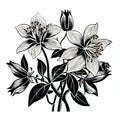 Stylistic Black And White Lily Flower Drawing - Organic And Naturalistic Composition