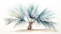 Stylistic Watercolor Palm Tree Illustration With Yucca Tree