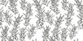 Stylized abstract simple branches with flowers buds and leaves seamless pattern. Black and white artistic gently floral background Royalty Free Stock Photo