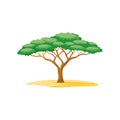 Stylized Acacia Tree Illustration on a Sand Dune, Isolated on White Royalty Free Stock Photo