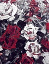 Stylized acrylic roses on textured canvas Royalty Free Stock Photo