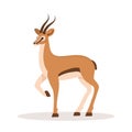 Stylized african antelope. Gazelle with horns on white background. Mammal animal. Vector illustration in flat cartoon Royalty Free Stock Photo