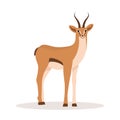 Stylized african antelope. Gazelle with horns on white background. Mammal animal. Vector illustration in flat cartoon Royalty Free Stock Photo