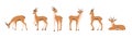 Stylized african antelope. Set of gazelles with horns on white background. Mammal animal. Vector illustration in flat Royalty Free Stock Photo