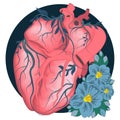 Stylized anatomical Human Heart drawing. Heart with flowers in romantic style