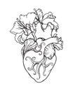 Stylized anatomical Human Heart drawing. Heart with white lilies in romantic style.