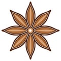 Stylized Anise Star Brown Flower Shape with Petals and Seed Pod Center Royalty Free Stock Photo