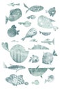 Big set of illustrations of flat style fish with doodle isolated on white background. Stylized artistic collection of