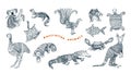 Tribal australian animal vector set. Royalty Free Stock Photo