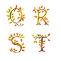 Stylized autumn leaf tree alphabet - letters Q-T