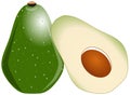 Stylized avocado isolated