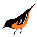 Stylized Baltimore Oriole Bird