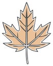 Stylized beige maple leaf vector illustration with dark outline, simple leaf design Royalty Free Stock Photo