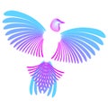 Stylized bird. Head, wings, tail. Pink and blue colors. For logo, design element. Isolated on white Royalty Free Stock Photo